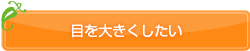 �ڂ�傫��������
