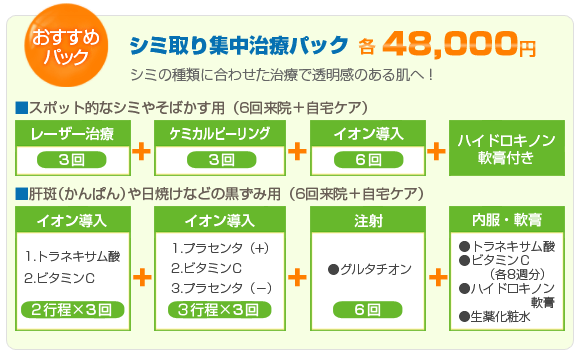 �V�~���W�����Ãp�b�N�@50,000�~