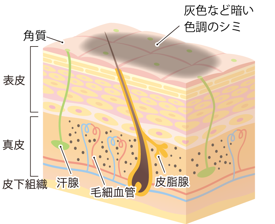 ^琫Ff